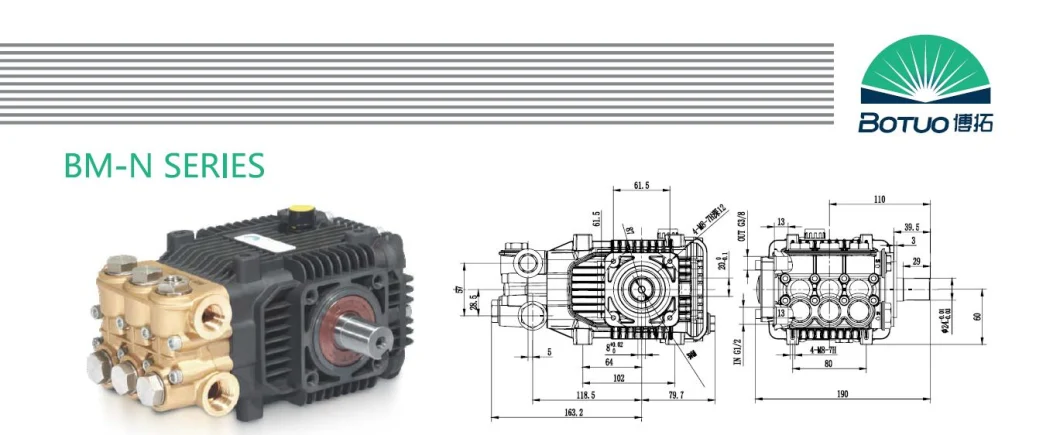 Bm Series 11lpm 180bar High Pressure Washer Plunger Pump