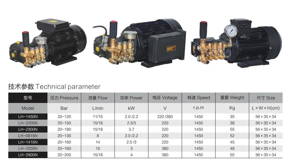 Lh-2900n Triplex Plunger Pump Pressure Washer Pump Car Wash Machine High Pressure Washer Pump