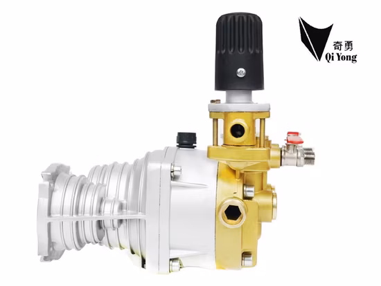 Motore pompa spruzzatore a stantuffo tondo cromato da 25 Motore a benzina 168/170